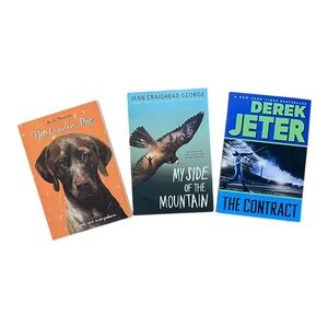 Chapter Books - variety of 3